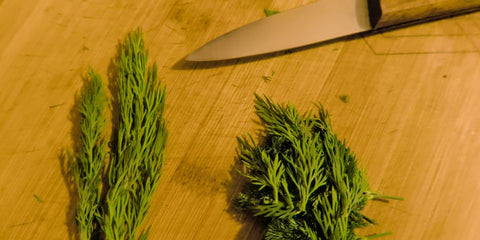 a knife and some green plants on a table